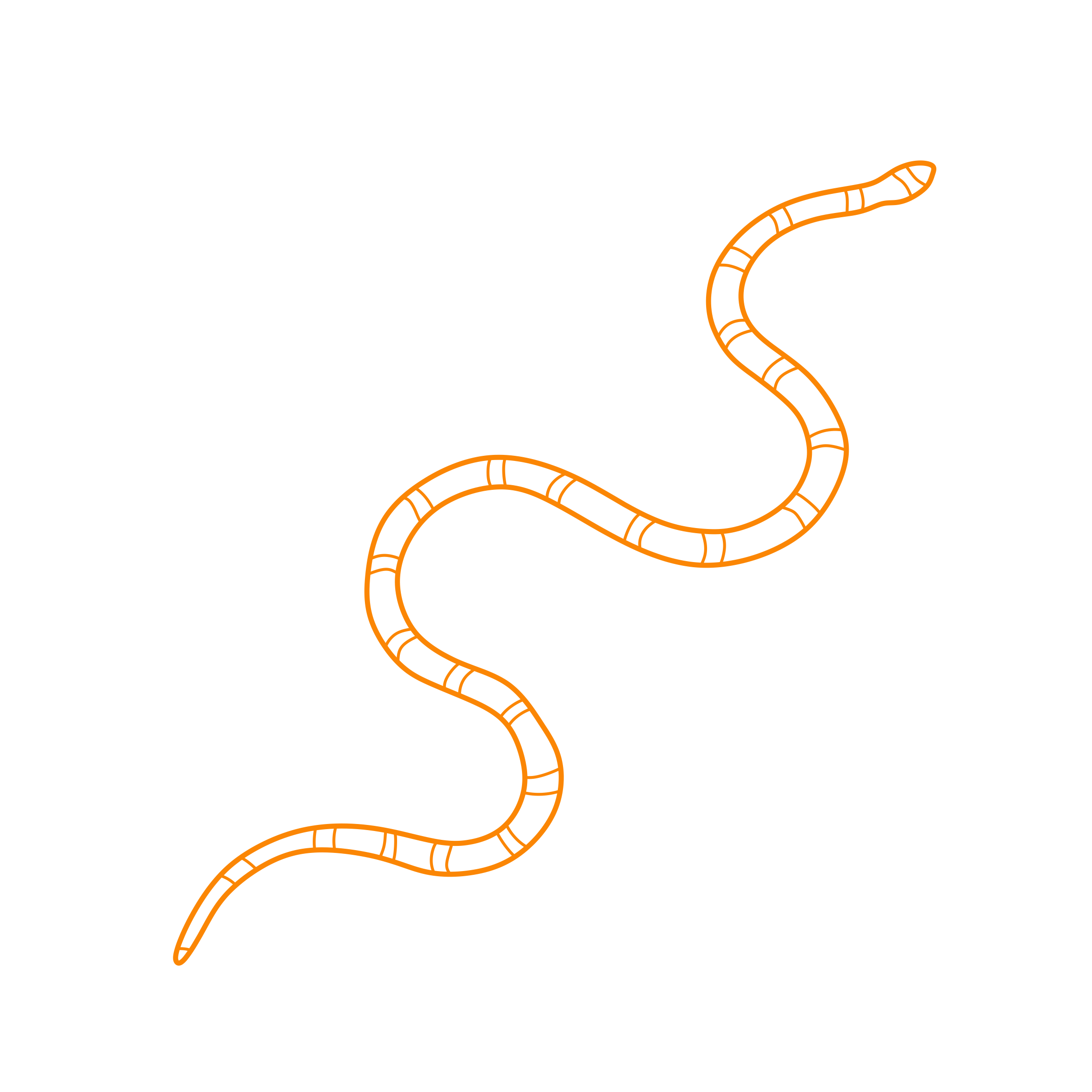 Animals Snakes Texas Coral Snake Outline Svg File Free Vectors